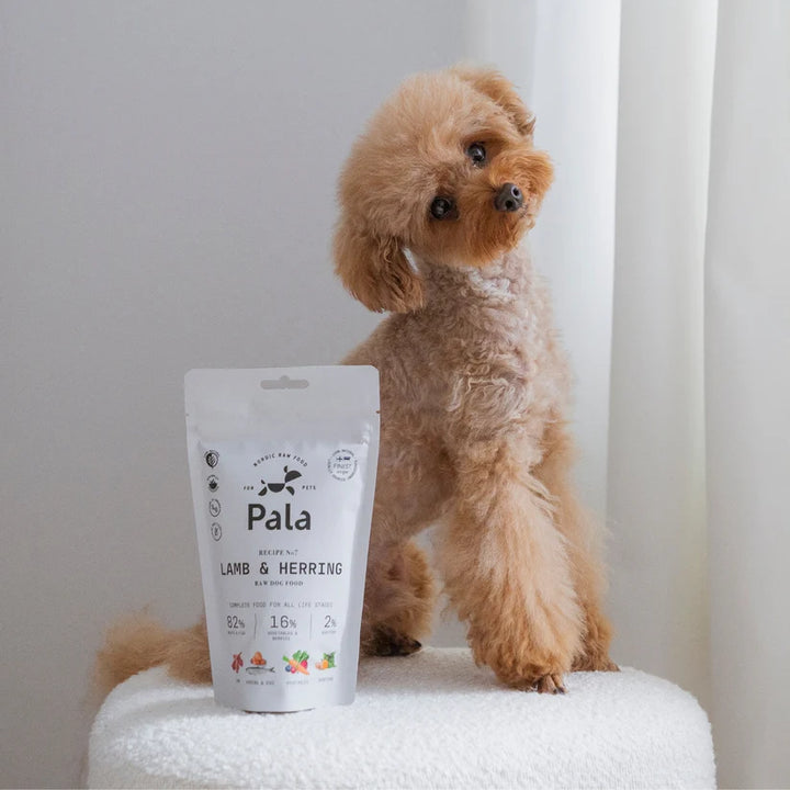 Pala receptas #7 ėriena ir silkė (100 g.)