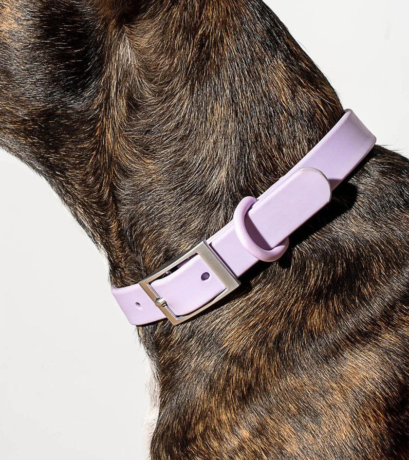 Collar - Lilac