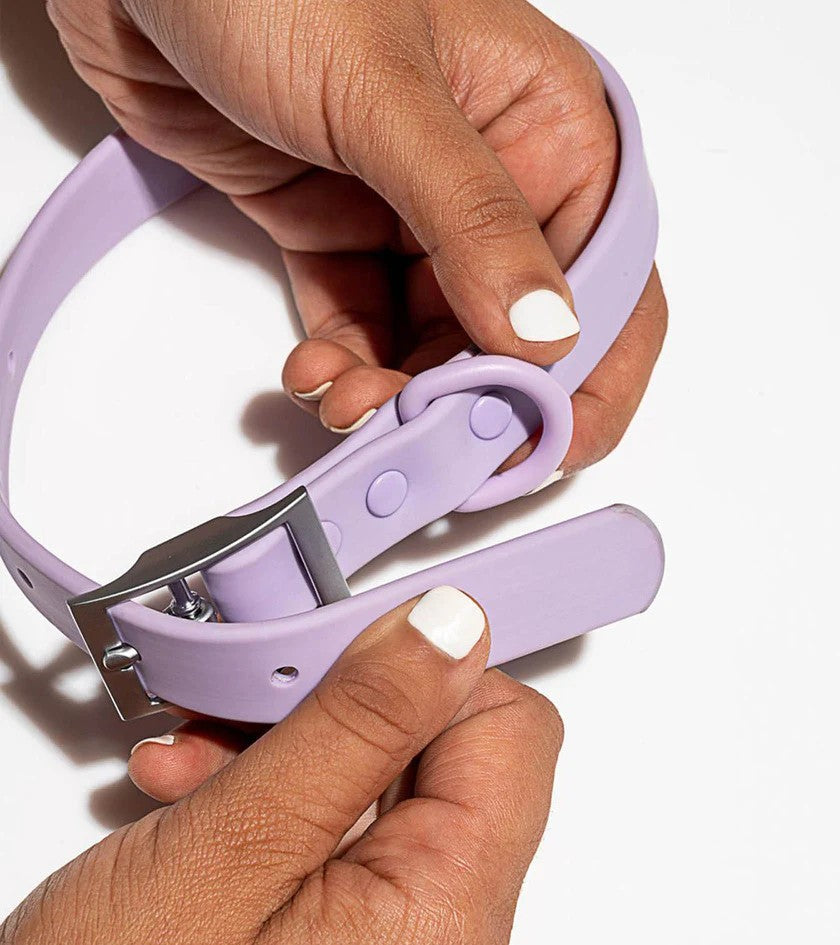 Collar - Lilac
