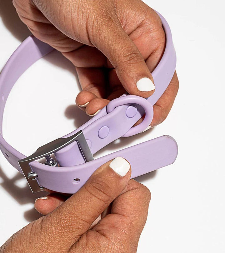 Collar - Lilac