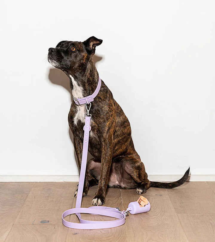 Collar - Lilac