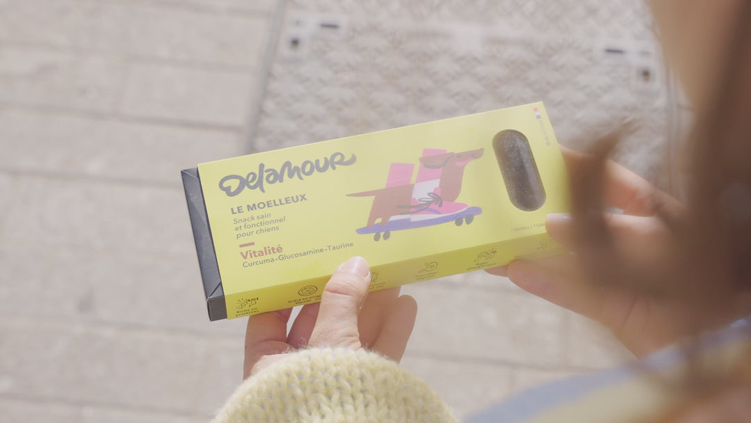 Delamour šunų skanėstai, padedantys atkurti tonusą ir energiją (700 g.)