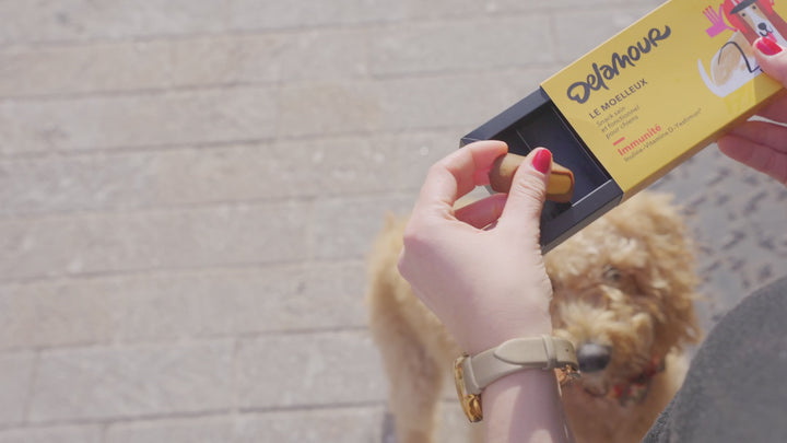 Delamour šunų skanėstai, kurie padeda stiprinti imuninę sistemą (700 g.)