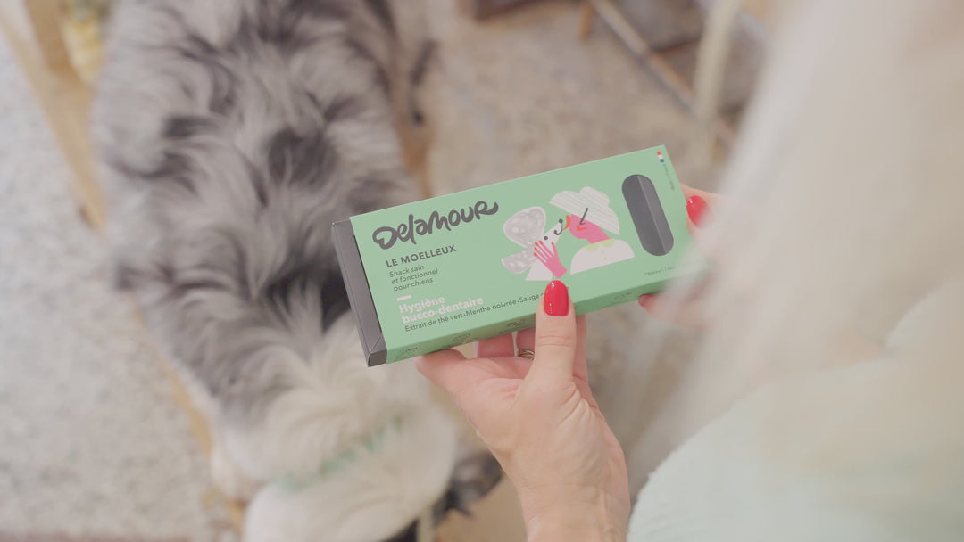 Delamour šunų skanėstai, padedantys palaikyti burnos higieną (700 g.)