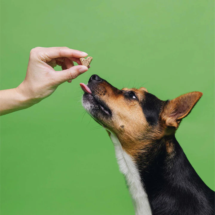 VEGDOG VEGGIES Skincare augaliniai skanėstai šunims odai ir kailiui (125 g.)