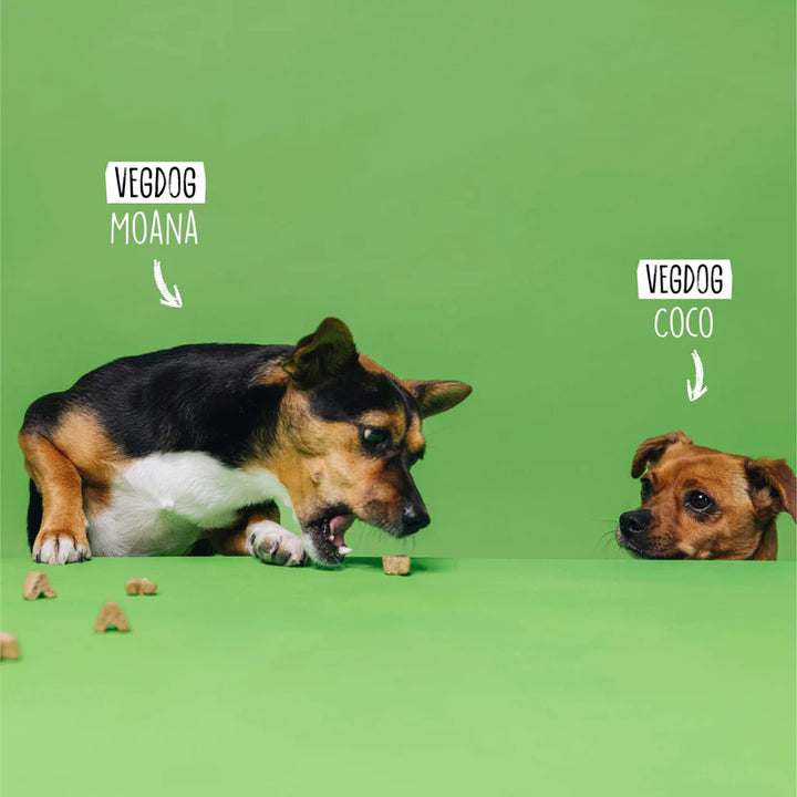 VEGDOG VEGGIES Skincare augaliniai skanėstai šunims odai ir kailiui (125 g.)