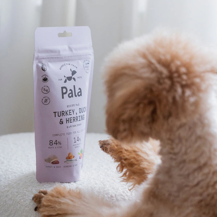 Pala receptas #6 kalakutiena, antis ir silkė (100 g.)